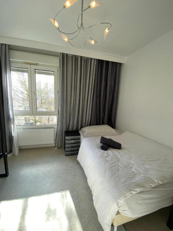 Nancy Hyper Centre, Chambre Prive Chez L'Habitant En Colocation Bagian luar foto