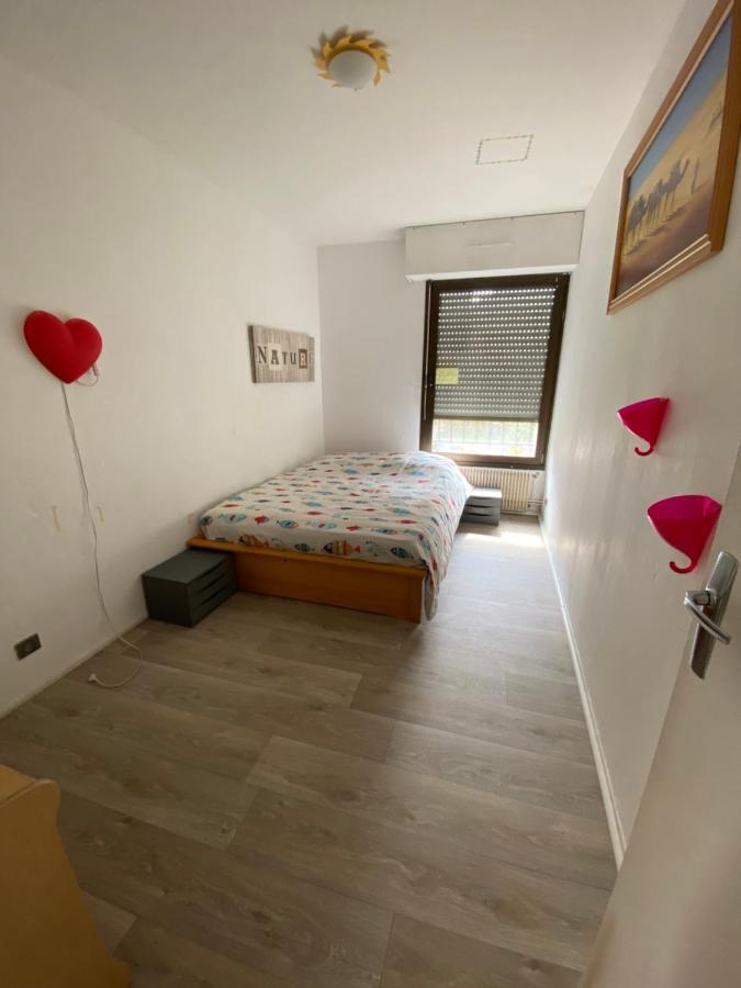 Nancy Hyper Centre, Chambre Prive Chez L'Habitant En Colocation Bagian luar foto