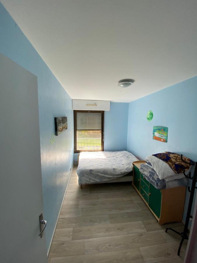 Nancy Hyper Centre, Chambre Prive Chez L'Habitant En Colocation Bagian luar foto